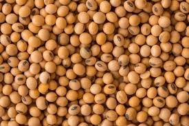 Soybeans